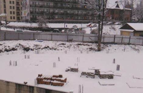 Ranna sarna uwięziona na placu budowy w Zakopanem