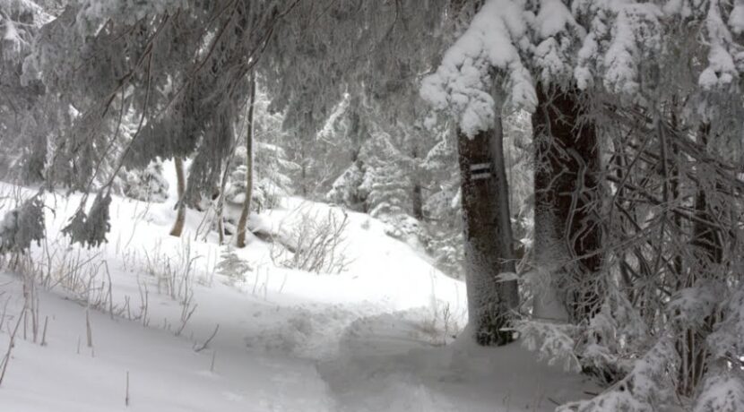 W krainie śniegu – Ścieżka nad Reglami (zdjęcia)