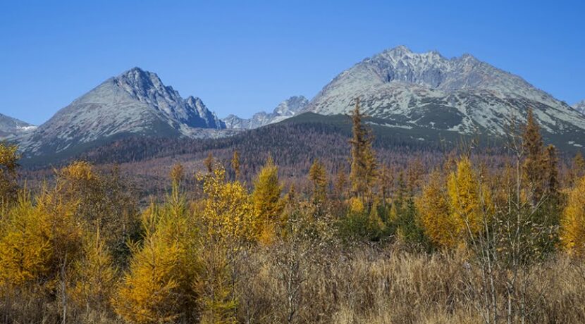Piękne barwy jesieni w Tatrach Słowackich. Korzystajcie póki czas!