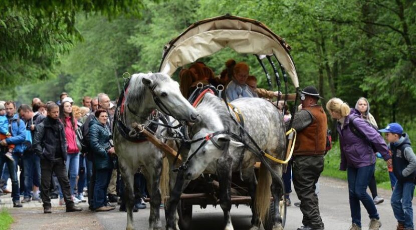 Rewolucja na drodze do Morskiego Oka! Duże zmiany w transporcie konnym