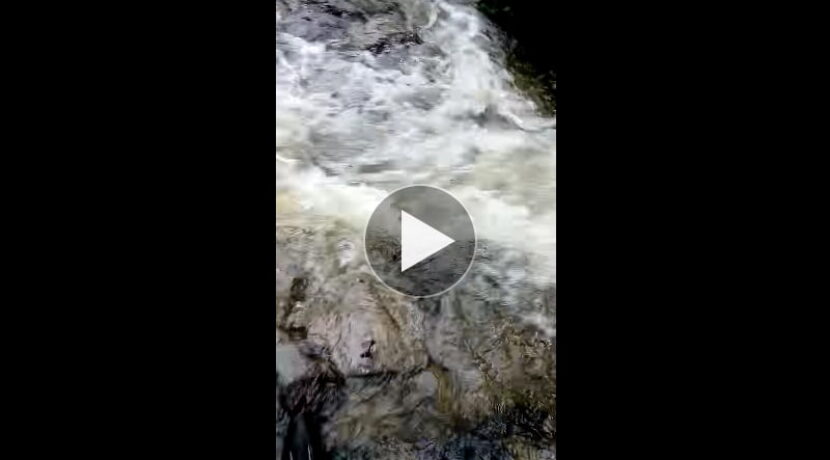 Rwący potok wylał na szlak. Tak dziś wyglądały tatrzańskie doliny (FILM)