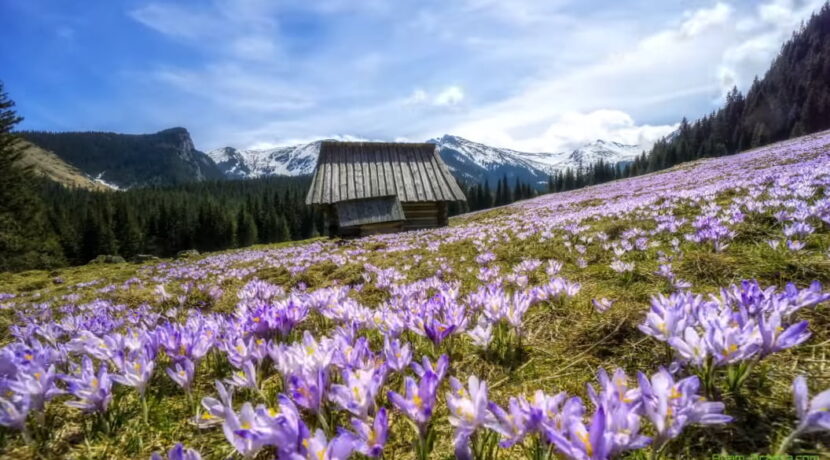 „4 pory roku” – niesamowity timelapse z Tatrami w roli głównej