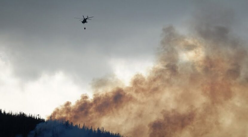 Wielki pożar lasu w Tatrach. Ewakuacja turystów