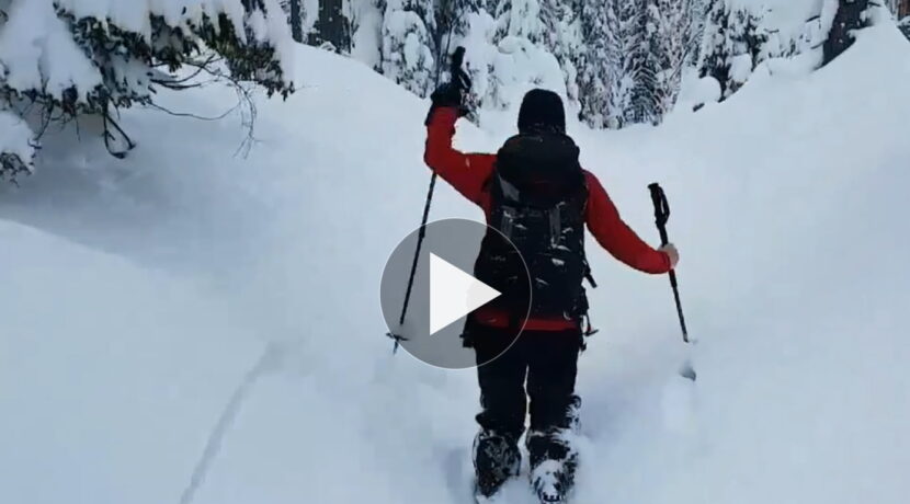 Spacer przez bajkowy las, nagle…Oto jak „stabilny” jest teraz śnieg w Tatrach (FILM)