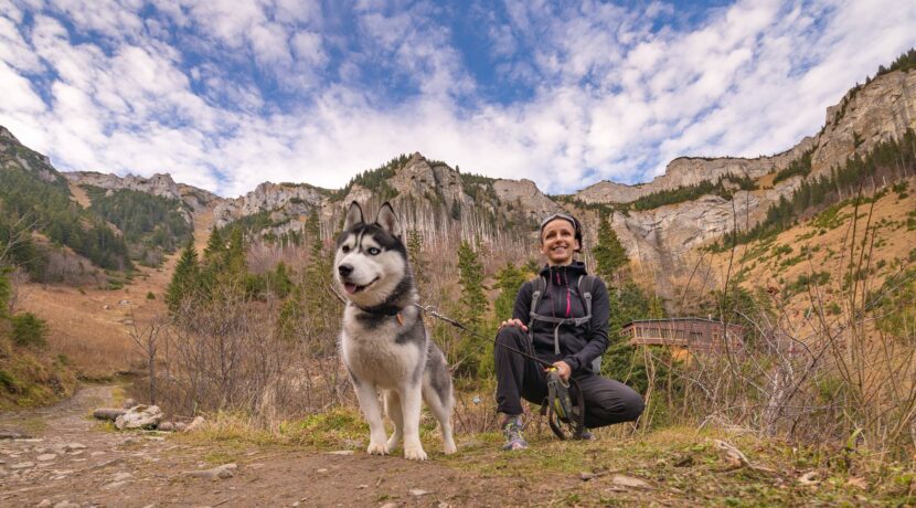 Koniec wycieczek z psami po Tatrach Słowackich? To nowy projekt ochrony TANAP-u