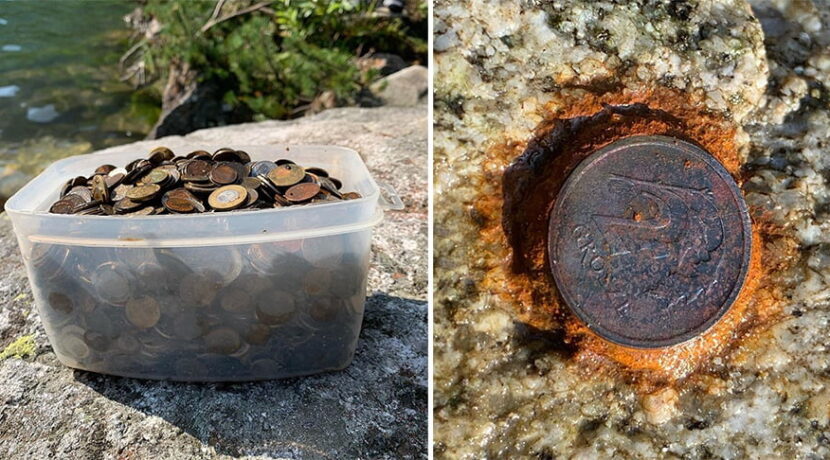 4 kilogramy monet wyłowione z Morskiego Oka. Niektóre przyrastają do kamieni!
