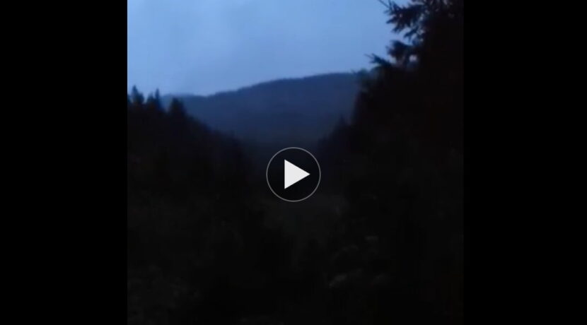 Tak brzmi rykowisko – posłuchaj wyjątkowego nagrania z Tatr (FILM)