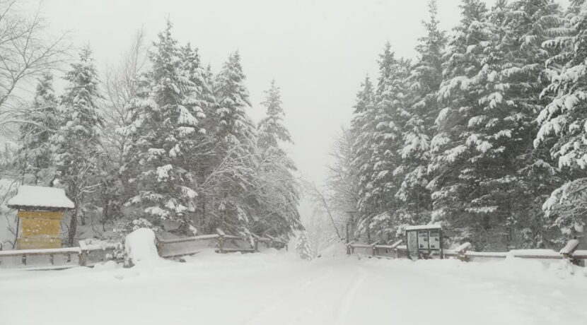 Prognozy dla Tatr: spadnie ponad metr śniegu