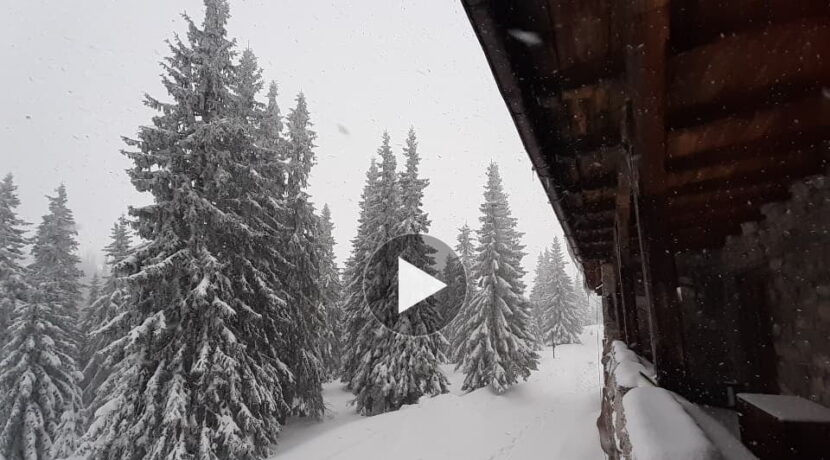 W Tatrach półtora metra śniegu. Tak prezentują się okolice Murowańca (ZDJĘCIA, FILM)