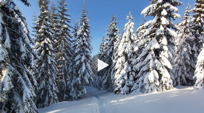 Bajkowa zima w Tatrach. Tak wyglądają obecnie szlaki (FILM)
