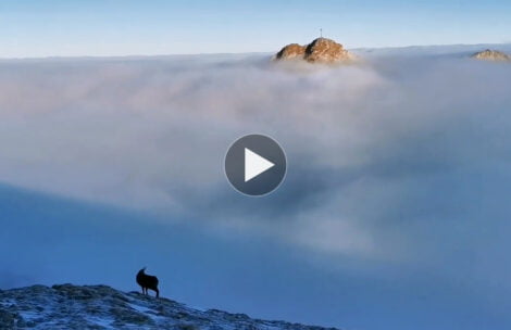 Co za widoki dziś w Tatrach! Przepiękne wędrowanie nad chmurami (FILM)