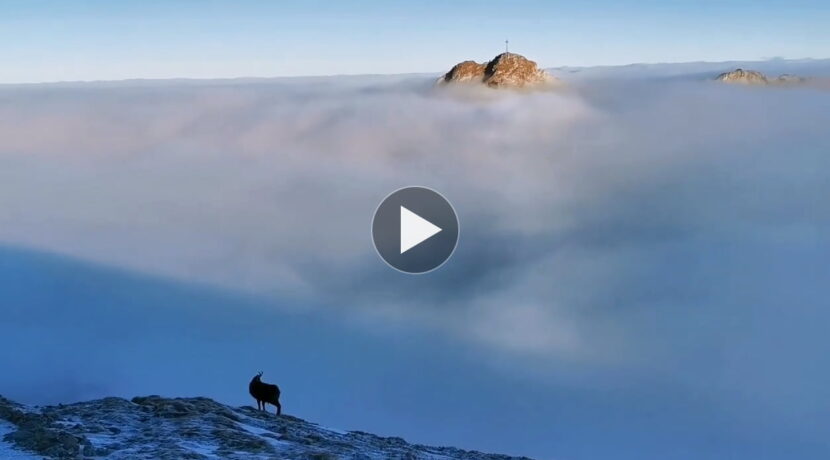 Co za widoki dziś w Tatrach! Przepiękne wędrowanie nad chmurami (FILM)