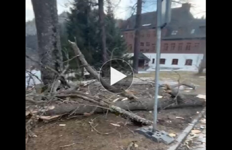 Wichura w Zakopanem, wszędzie połamane drzewa! Tak wyglądają teraz Kuźnice (FILM)