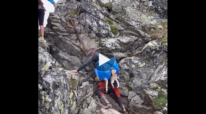 Szokujący widok w Tatrach. Turysta wsadził psa w torbę i ruszył w wysokie góry (FILM)